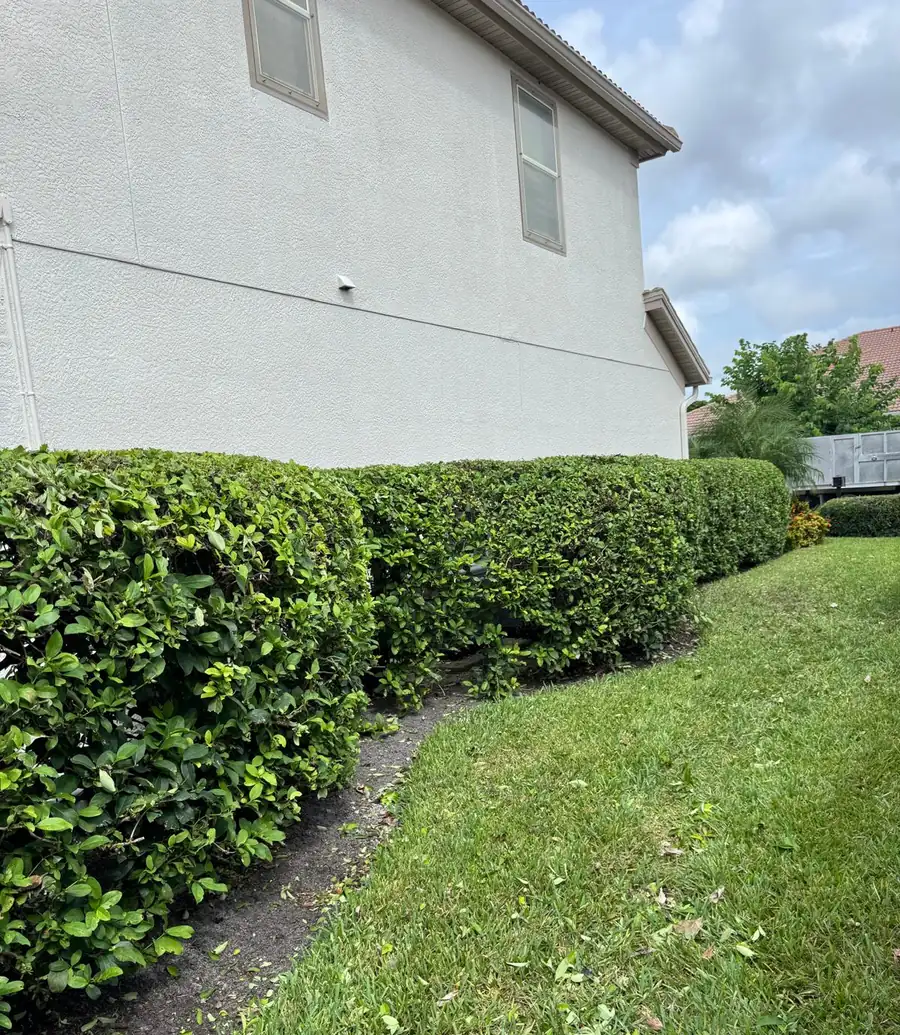 Freshly trimmed hedge along the side of a home