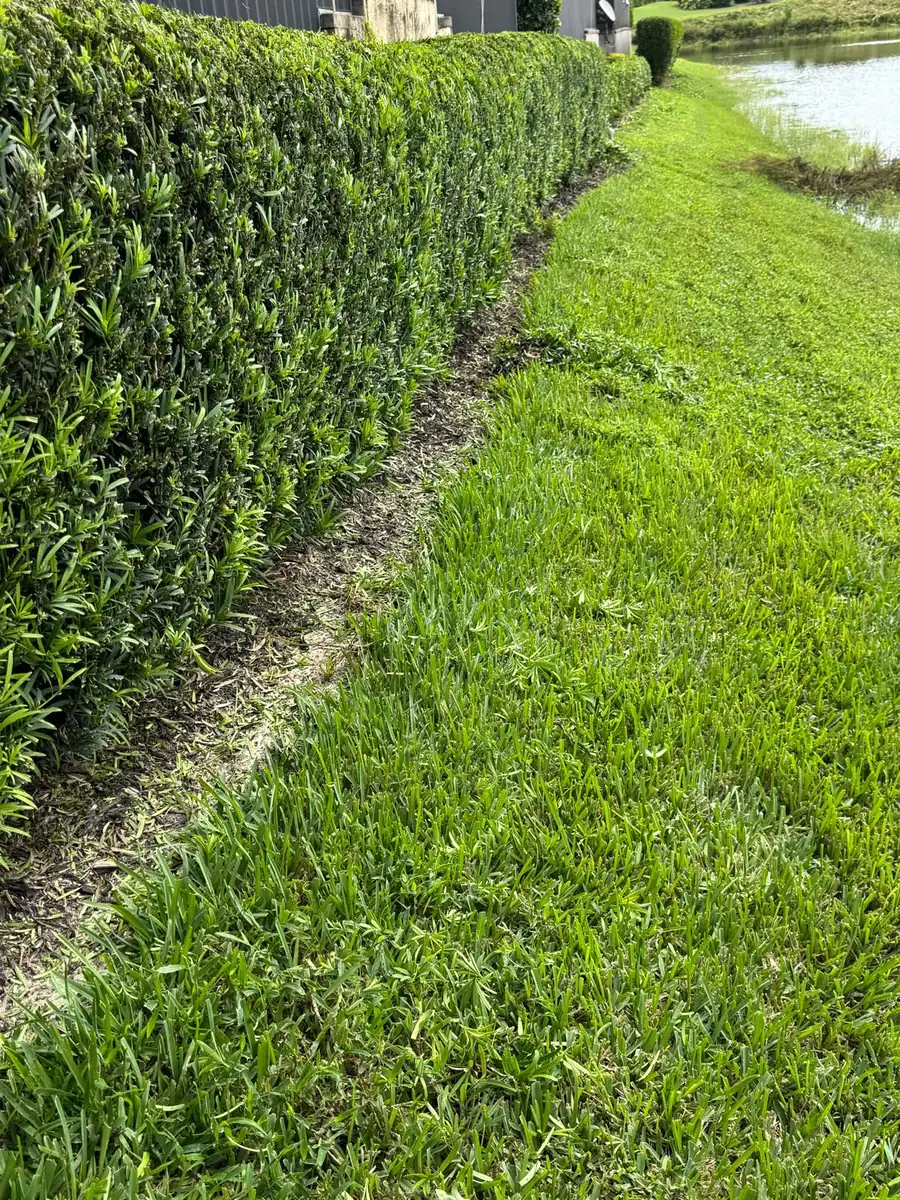 Long, evenly trimmed hedge beside a lawn and a lake
