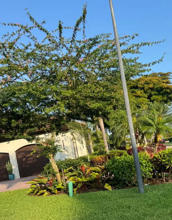 Landscape bed with tropical plants beside a well-kept lawn
